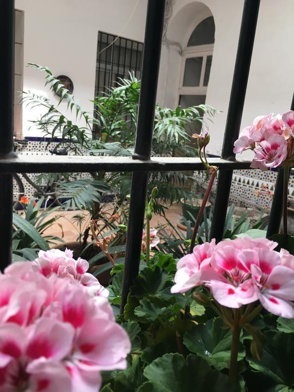 Apartamento Cruz Vieja 헤레스 객실 사진