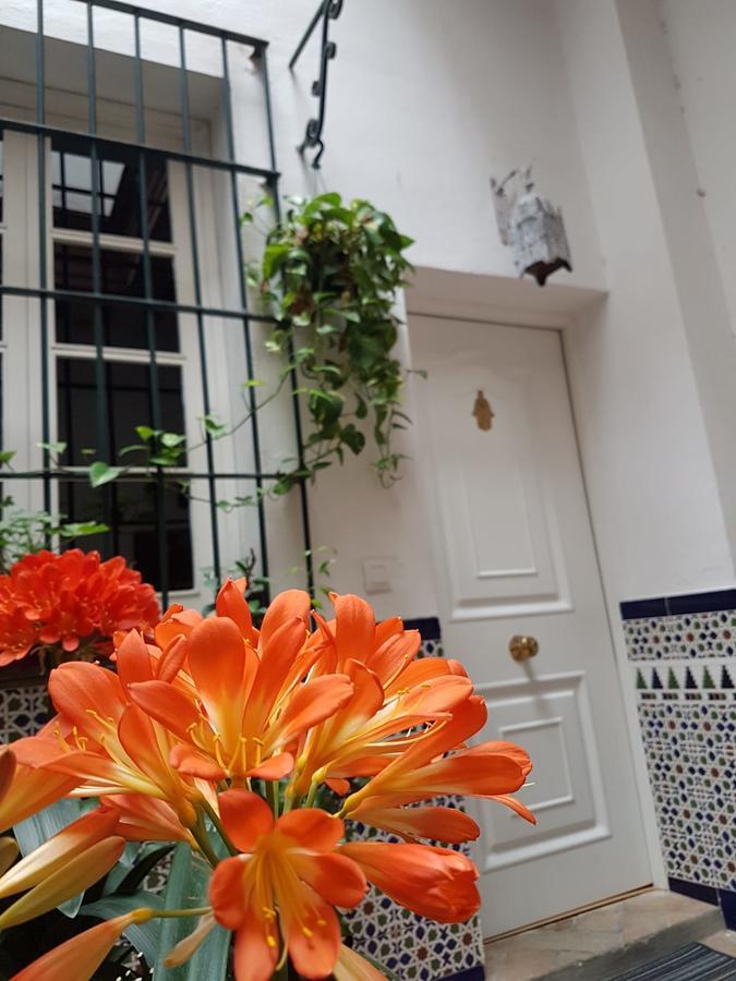 Apartamento Cruz Vieja 헤레스 외부 사진